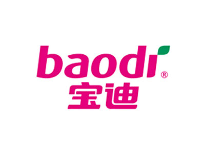 天津宝迪